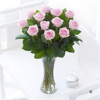 Pink Rose Vase