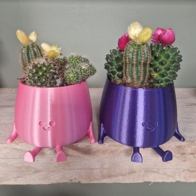 Cactus Planter