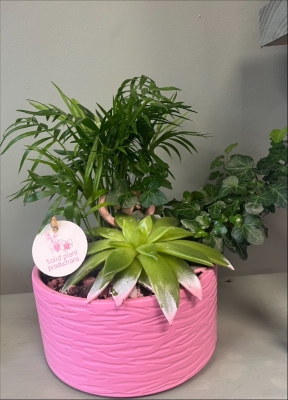 Pink planter Bowl