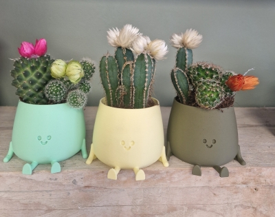 Small Cactus Planter