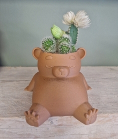 Cactus Bear Planter