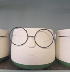 Glasses Planter